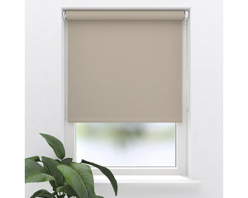 Beige fönsterrullgardin på fönstret med växt