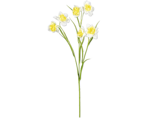 Konstväxt Narciss 60cm gul/vit Konstgjord narcissblomma med gröna stjälkar och gul-vita blommor