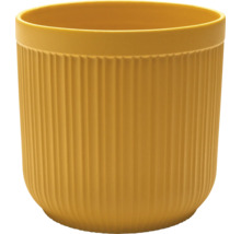 Gul blomkruka med räfflad textur