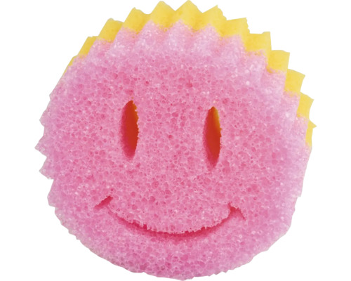 Rengöringssvamp med ansikte
