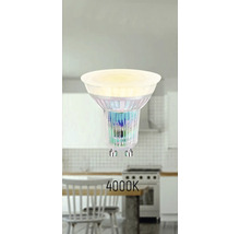 GU10 LED-lampa med 4000 kelvin ljusfärg