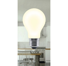 4000 Kelvin lampa