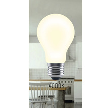 Glödlampa med en färgtemperatur på 4000 Kelvin