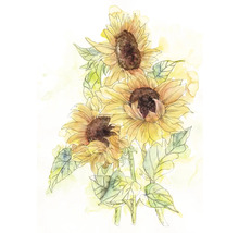 Illustration av tre solrosor med blad