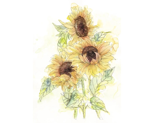 Illustration av tre solrosor med blad