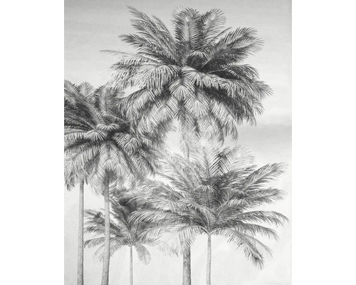 Palmtapet för väggdesign