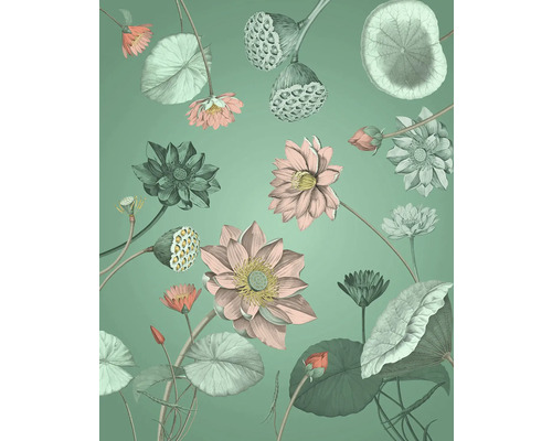 Illustration av lotusblommor och blad mot enfärgad bakgrund