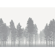 Illustration av en tät skog i dimma