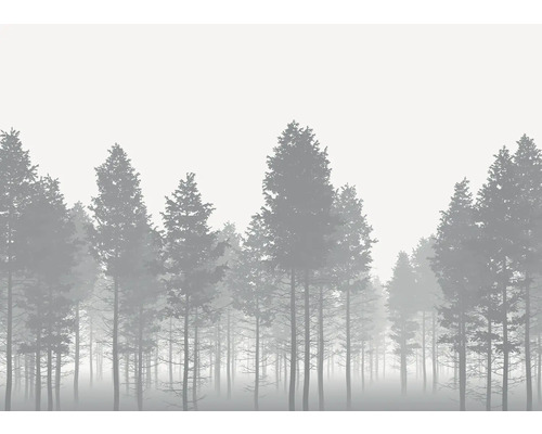 Illustration av en tät skog i dimma