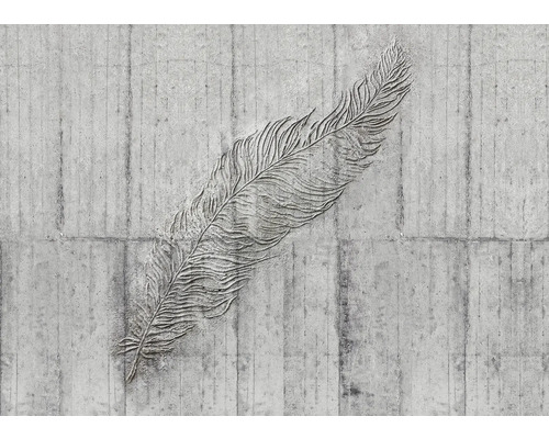 Betongvägg med fjäderrelief