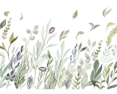 Illustration av olika gröna växter på vit bakgrund