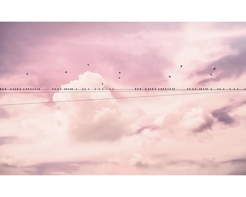 Många fåglar sitter på en kraftledning framför en molnig himmel.