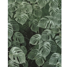 Tapet med Monstera- och palmbladsmönster