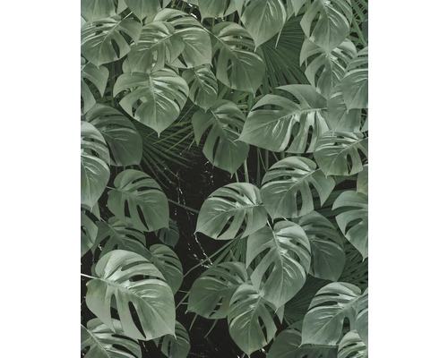 Tapet med Monstera- och palmbladsmönster
