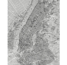 Historisk karta över New York