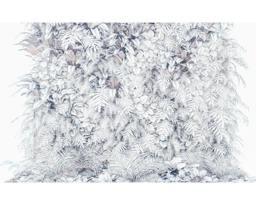 Dekorativ växtvägg med ormbunkar och andra växter