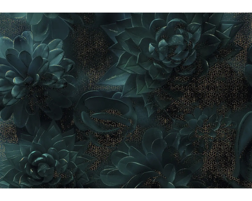 Tapet med suckulentmönster och geometrisk design