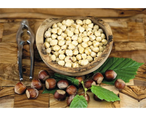 Hasselnötter i träskål med nötknäppare och hasselblad