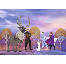 Scen med karaktärerna från Frost: Renen Sven, Kristoff, Snögubben Olaf, Elsa och Anna.