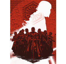 Illustration av krigare med hjälmar och kappor mot en bakgrund av stormtroopers