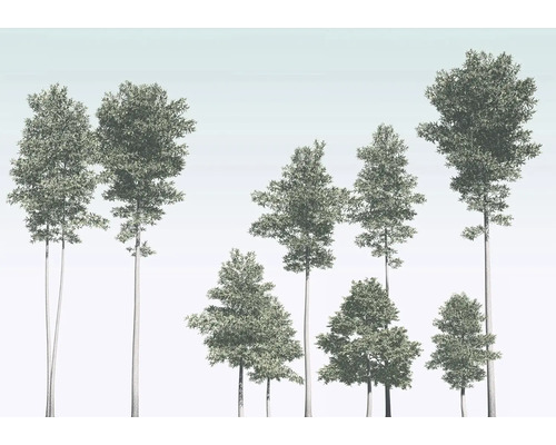 Illustration av olika lövträd