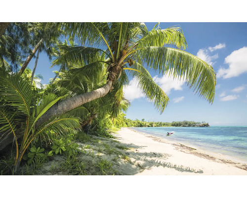 Tropisk strand med palmer och blått hav