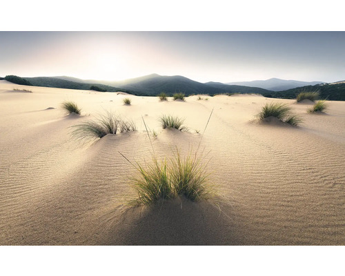 Sanddynlandskap med gräs och berg i bakgrunden