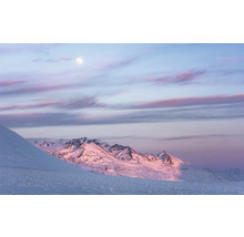 Snöigt bergslandskap under en måne