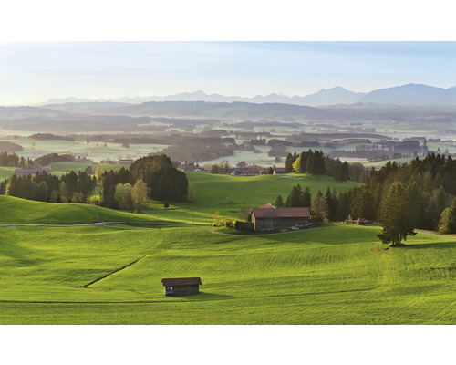 Landskap med gröna kullar, bondgårdar och berg i bakgrunden
