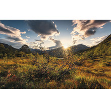 Landskap med äng, berg och soluppgång