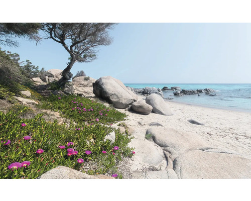 Scen med sandstrand, klippor och kustvegetation