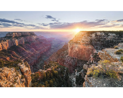 Grand Canyon landskap i soluppgång