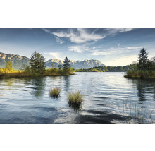 Sjölandskap med träd och berg i bakgrunden