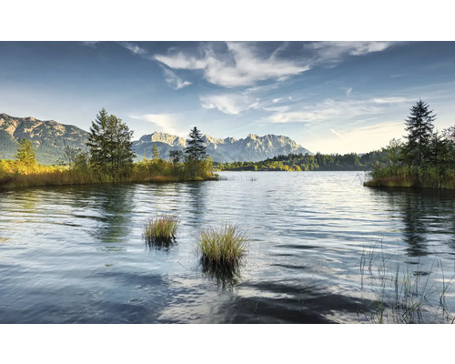 Sjölandskap med träd och berg i bakgrunden