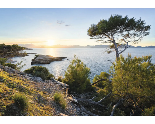 Landskap med kustlinje, hav och träd