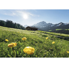 Landskap med blomsteräng, bergsstuga och bergspanorama