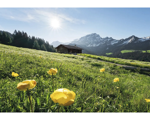 Landskap med blomsteräng, bergsstuga och bergspanorama