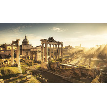Utsikt över Forum Romanum med ruiner och pelare