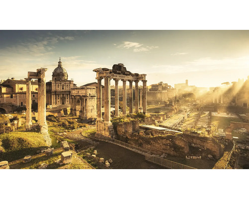 Utsikt över Forum Romanum med ruiner och pelare