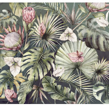 Illustration av olika tropiska växter