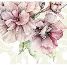 Illustration med rosa blommor