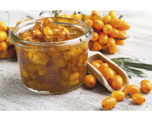 Burk med havtornsmarmelad med färska havtornsbär