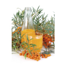 Havtornssaft i glasflaska och dricksglas med havtorns grenar