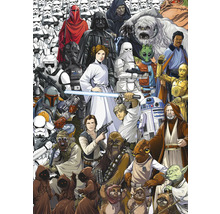 Illustration med olika Star Wars-karaktärer