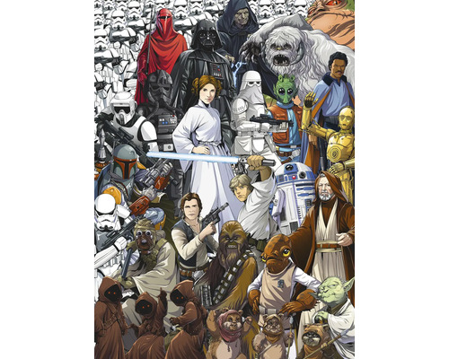 Illustration med olika Star Wars-karaktärer