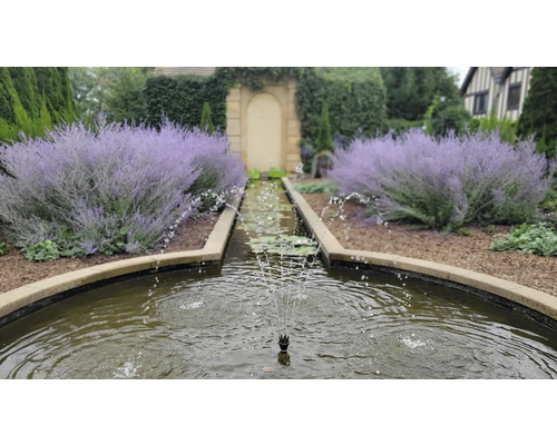 Trädgårdsscen med damm, fontän och frodig växtlighet