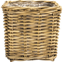 Blomkorg av rotting med plastinsats