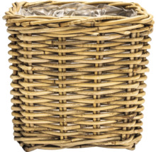 Blomkruka av rotting med plastinsats