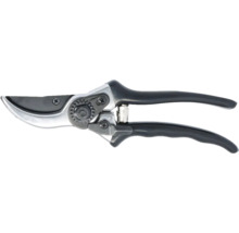 Trädgårdssax för trädbeskärning