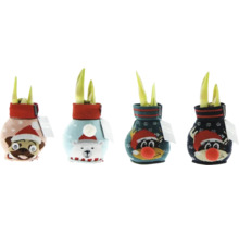 Fyra blomsterlökar i ytterkruka med djurmotiv